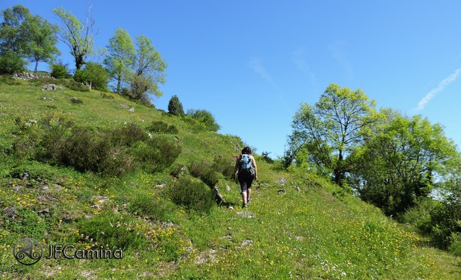 patana
