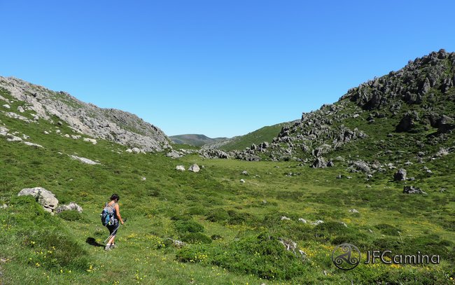 tarambicu