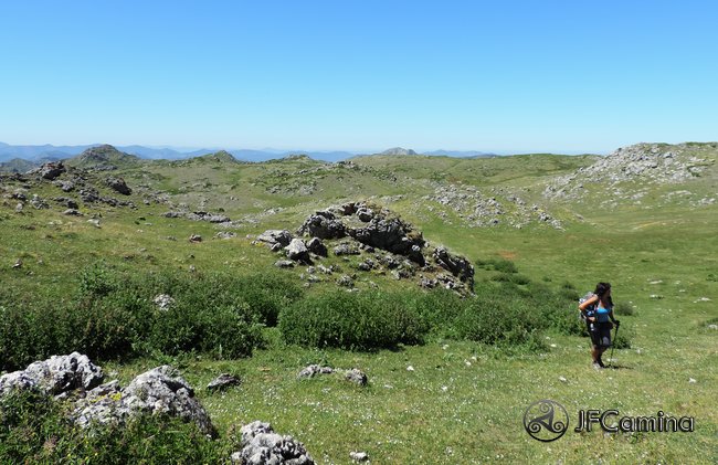 tarambicu