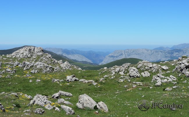 tarambicu