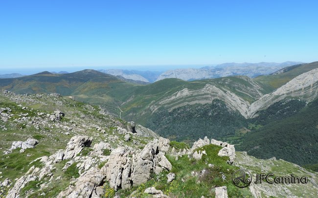 tarambicu