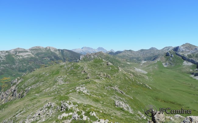 tarambicu