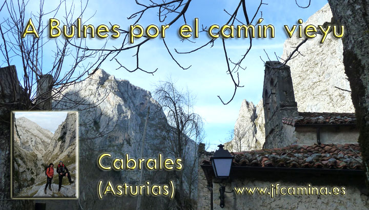 0100-bulnes
