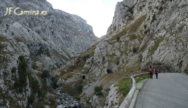 0103-bulnes
