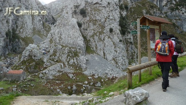 0105-bulnes