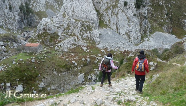 0106-bulnes