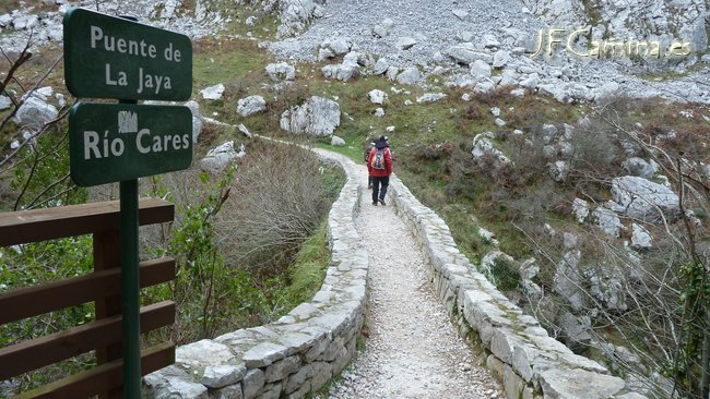 0107-bulnes
