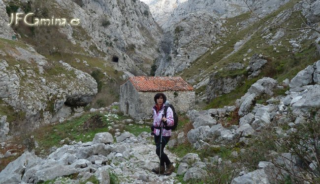 0108-bulnes