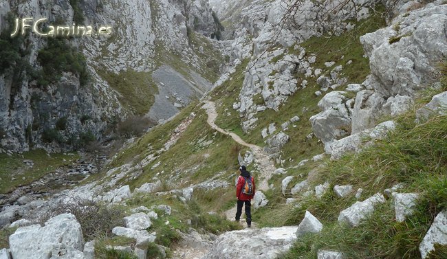 0110-bulnes