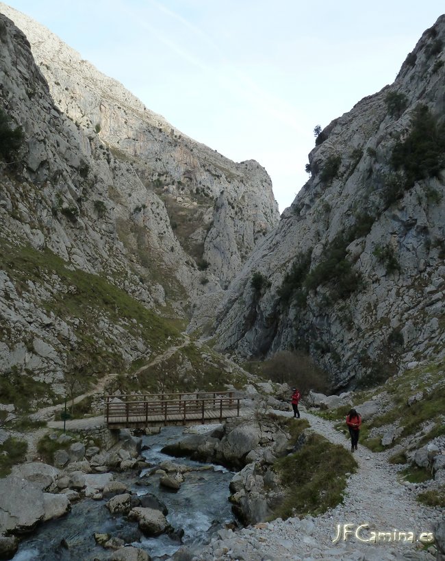 0113-bulnes