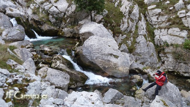 0114-bulnes