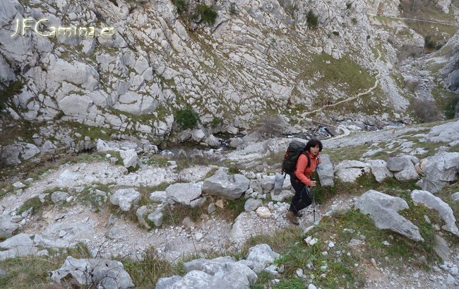 0115-bulnes