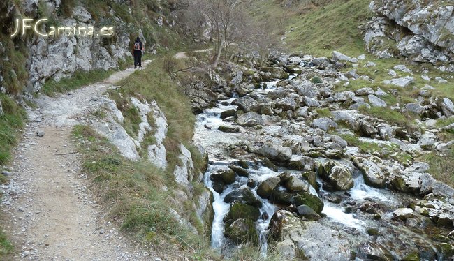 0118-bulnes