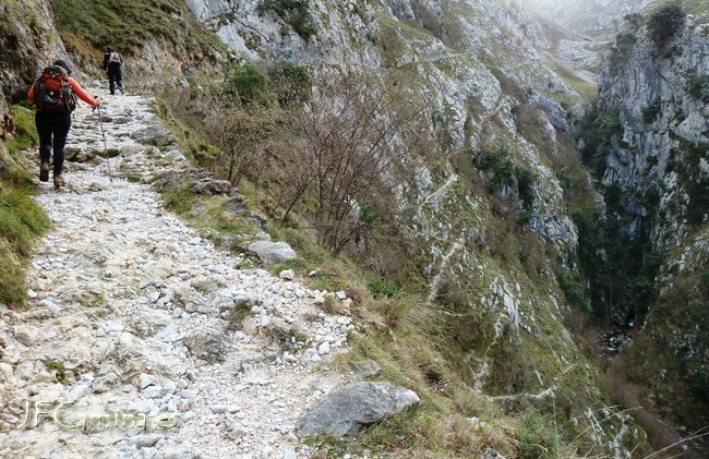 0120-bulnes
