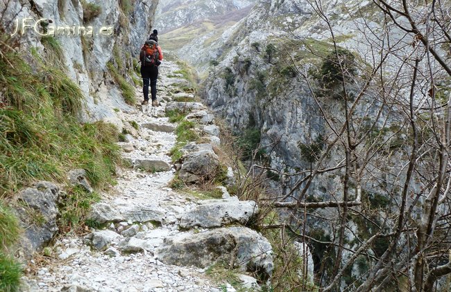 0122-bulnes