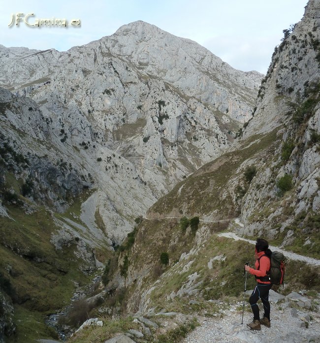 0123-bulnes