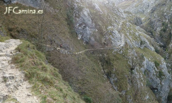0124-bulnes
