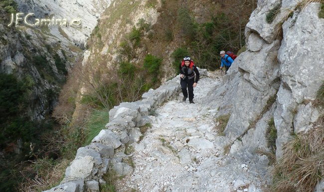 0126-bulnes