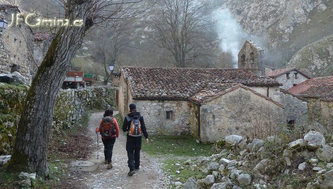 0137-bulnes