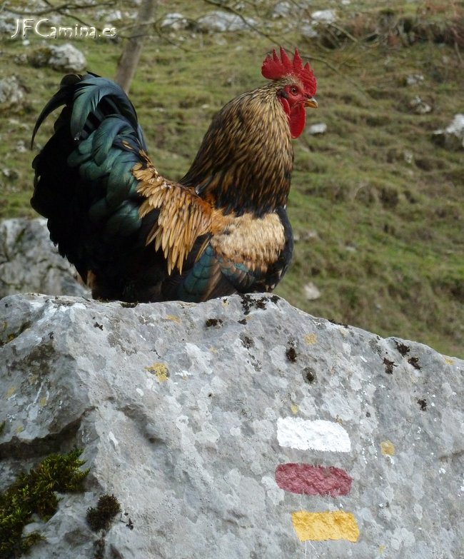 0139-bulnes