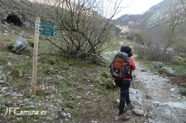 0144-bulnes