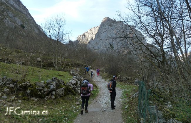 0156-bulnes