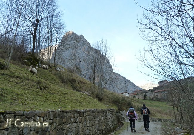0158-bulnes