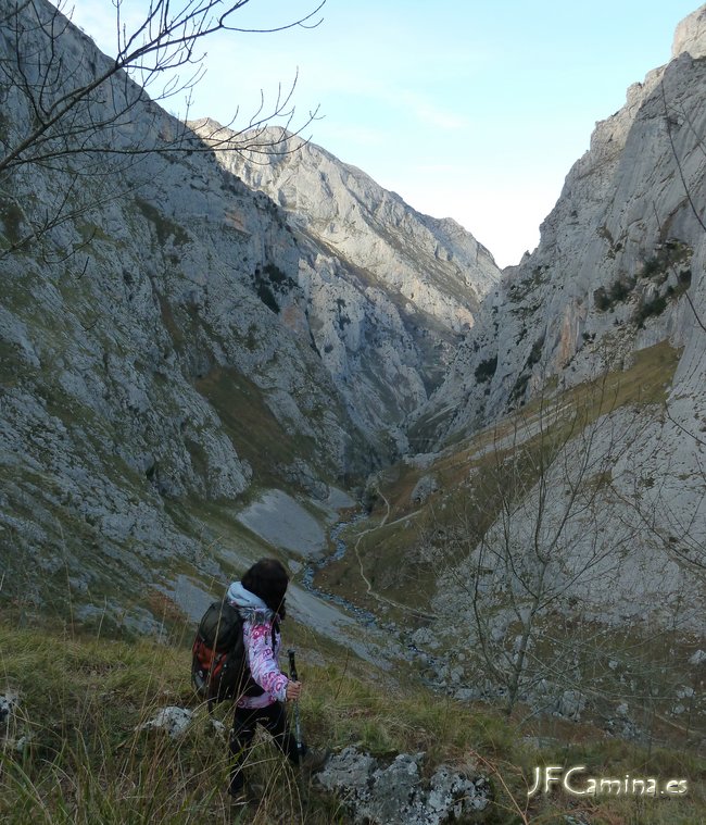0164-bulnes