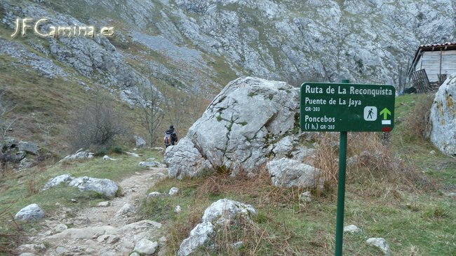 0169-bulnes