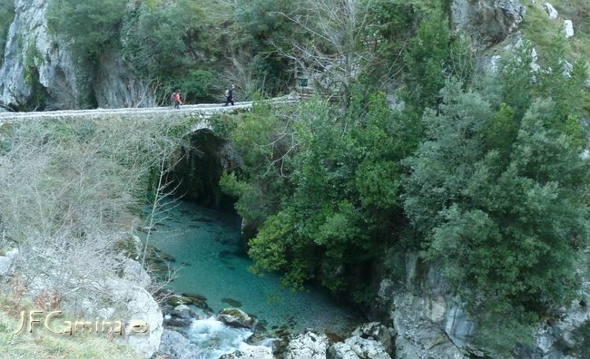 0170-bulnes