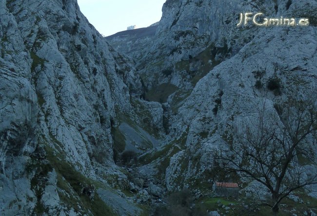 0171-bulnes